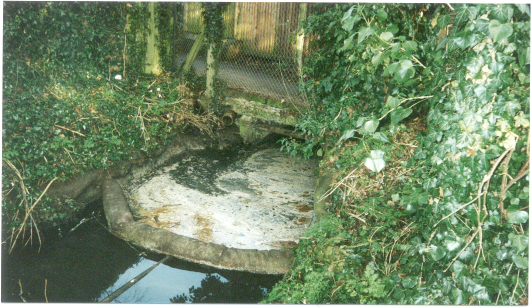 A polluted stream with sewage fungus on the water surface, surrounded by vegetation